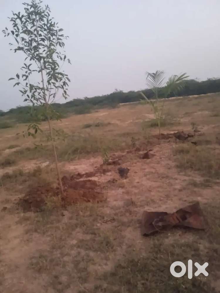 Farm House//ResidentialPlotting Scheme