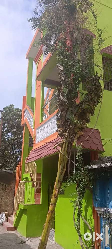 Individual house for 1bhk Rent