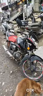 Honda shine