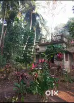 Land with house for sale