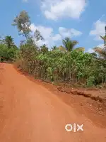 35 cent land for sale near Vattappara, Kavumpuram