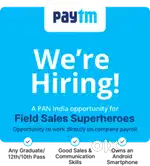 Sales Executive