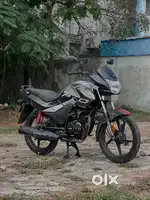 Passion pro 2020 model