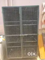 Bird's steel cage