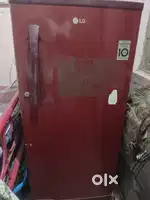LG 185 litter