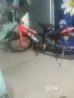 Cycle purana ho gaya hai