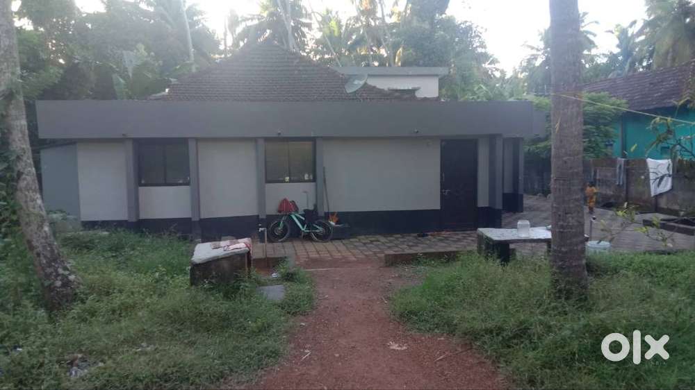 1bhk tile house available