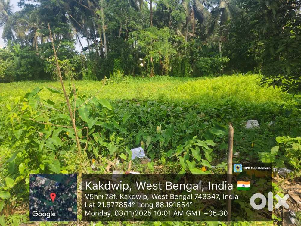 Kakdwip main road Money problem emargency