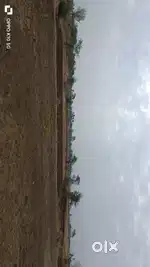 Land for rent