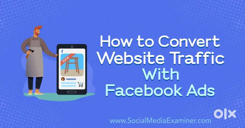 Job for website designing and facebook ads run