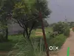 Land in Agarsanda