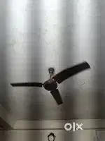 Celling fan