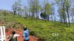 Selas Valley Selas View Plot for Sale