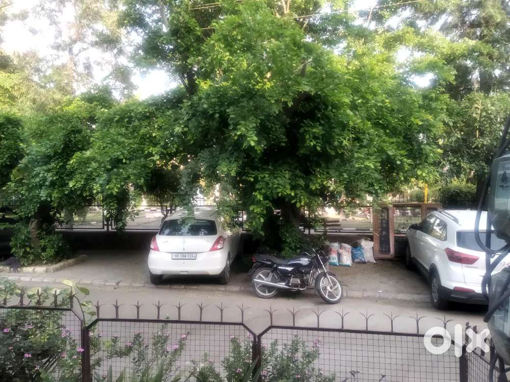 3bhk society flat available for rent sector 20 Panchkula