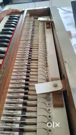 Harmonium - German reed