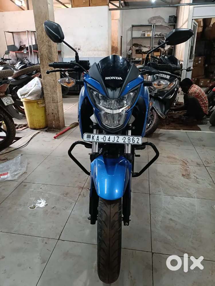 Honda hornet