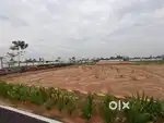 Namakkal Collector Office Bus Stop near by plots