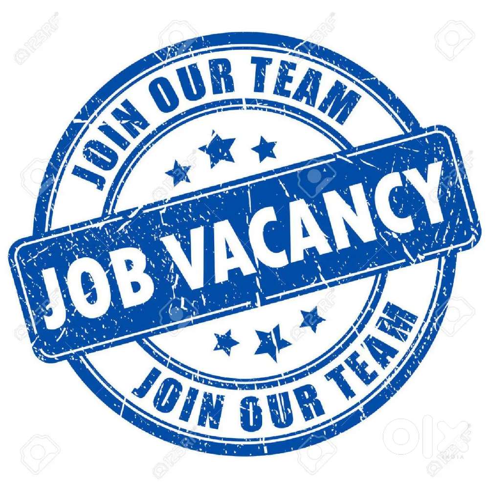 Job wanted immediately