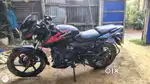 Pulsar 150cc Tuin disc new model