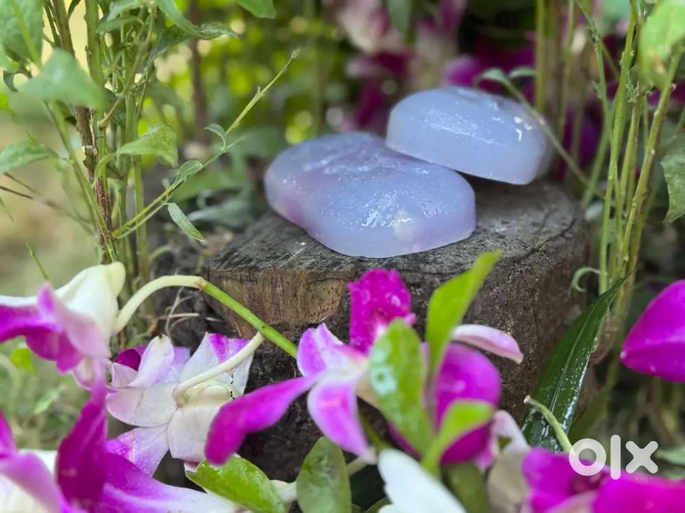 EarthAura premium organic orchid flavour soap