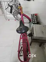 LadyBird Shine. Non-negotiable Rs.3500 with Handpump.