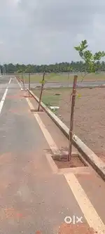 DTCP/RERA APPROVED PLOTS FOR SALE IN VAIYAMPALAIYAM