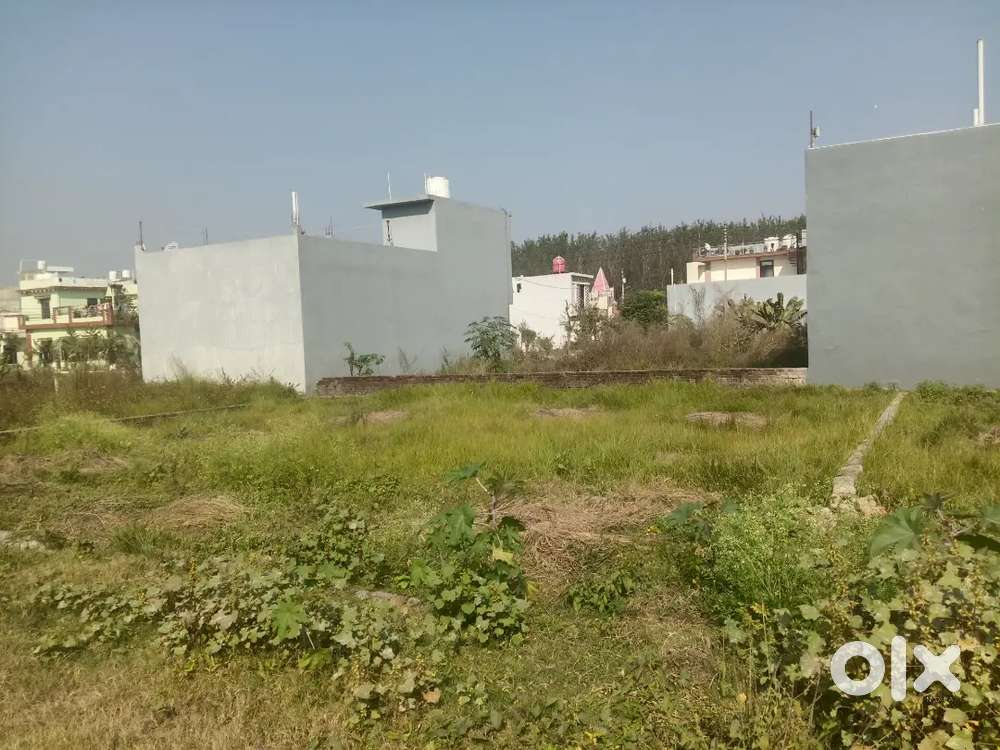 Total plot area 30*55.5