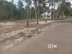ചെട്ടികുളങ്ങര പ്ലോട്‌കളായി വസ്തു വില്പനക്ക്
