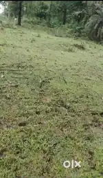 कोहका अवंती चौक से I I T जाने वाले मेन रोड me plot uplabdh hai
