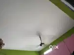 Rent for Bachelor room