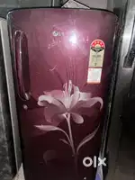 Rent Appliances