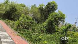 5 cents land near Aster Medicity chittur kerala