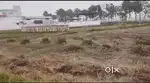 Prime Agricultural & Residential Land for Sale near Raxaul, East Champ