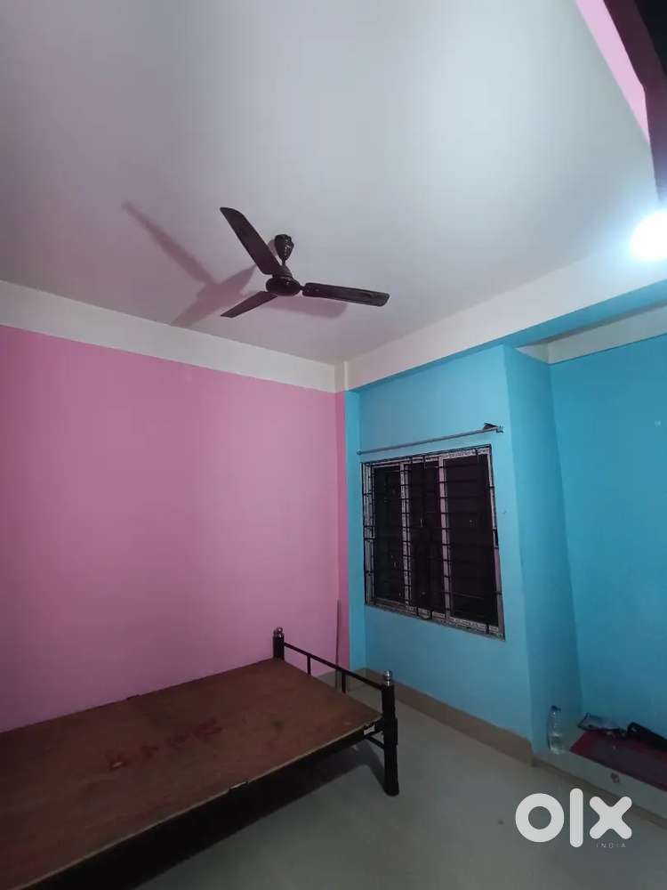 Looking for a roommate