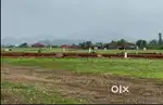 Buy Open N. A Plots with Separate Satbara