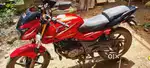 Palsur 180