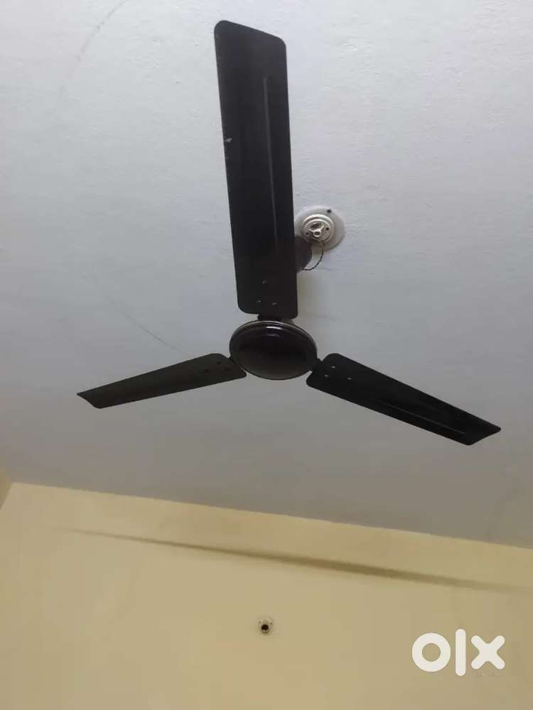 2 ceiling fans