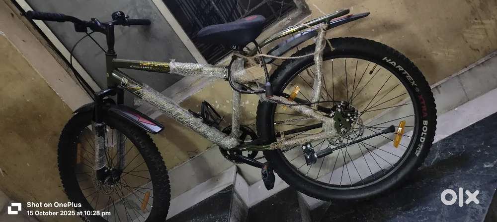 Beand new cycle