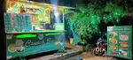 Running Food Cart for sale