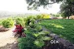 Plot just 3  Lac in Navi Mumbai