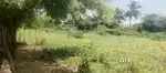 Industrial land for sale in neelambur,