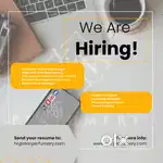 Customer Support Executive