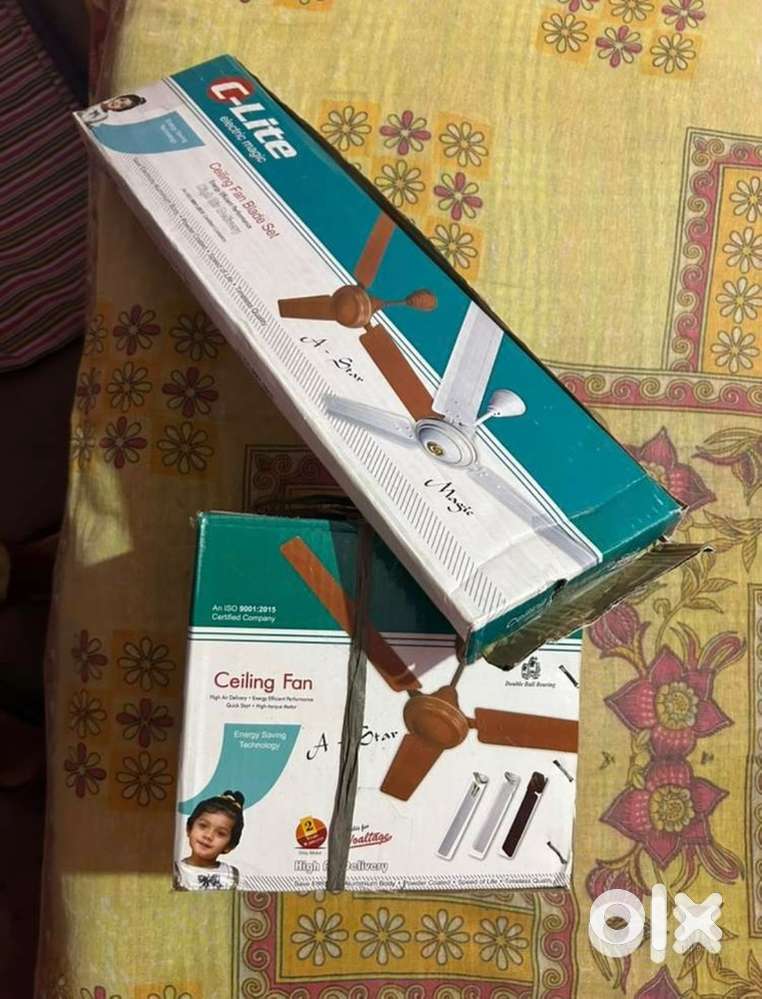 Clite celling fan