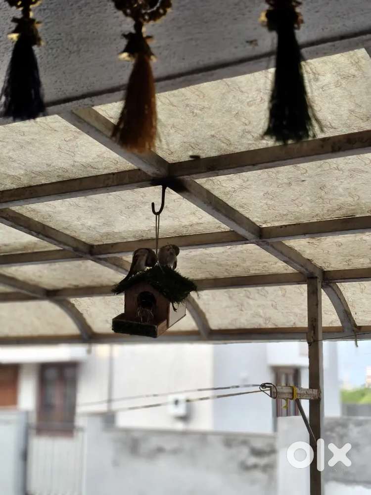 60 fit D-MART ring road