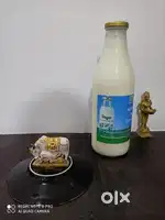 Need delivery driver for Milk and other products