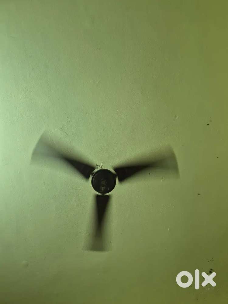 Crompton ceiling fan