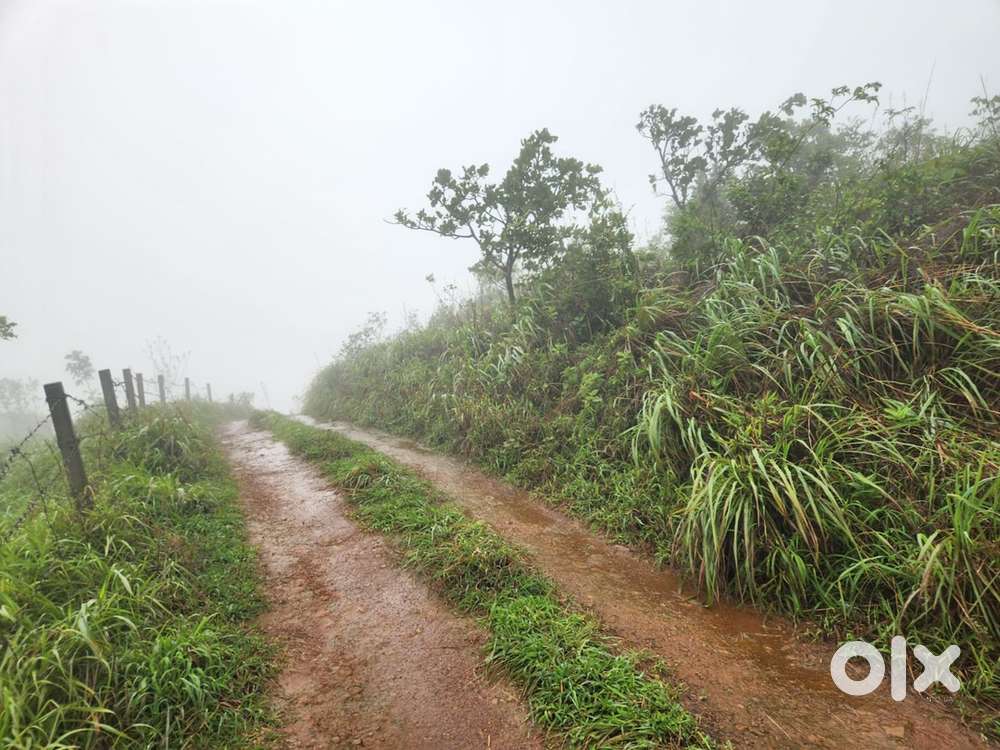 30 CENT LAND FOR SALE ,COLDY AREA PERFECT FOR TOURISAM PURPOSE @WAYANA