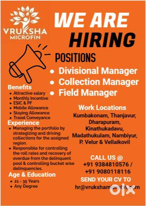 Divisional Manager / Collection Manager / Field Manager