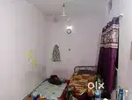 Need roommate