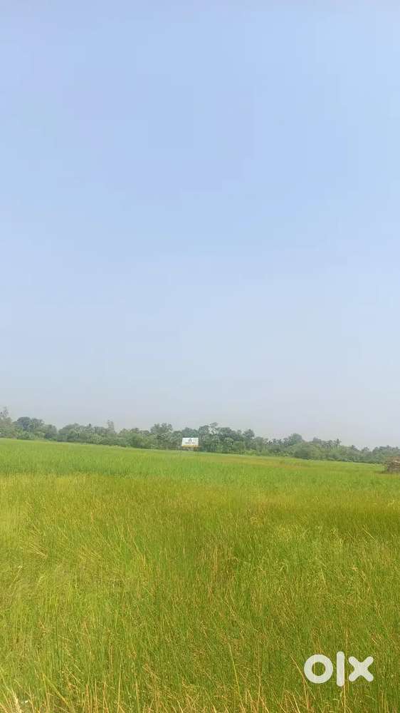 Land available for sale near Sonarpur Piyali station